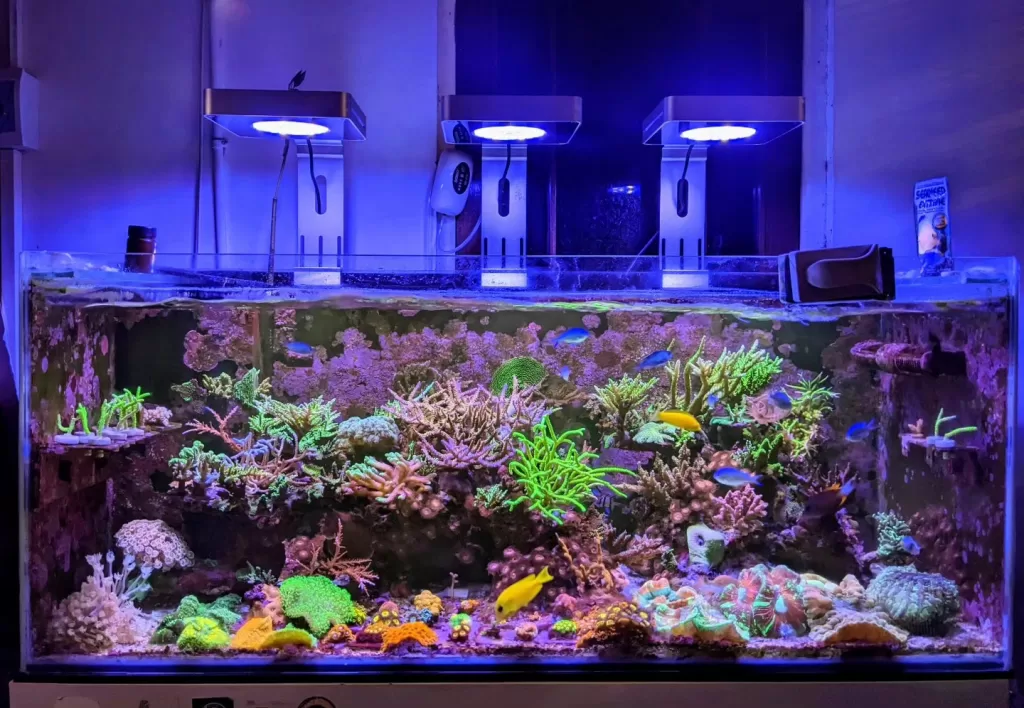 aquarium air laut semarang
